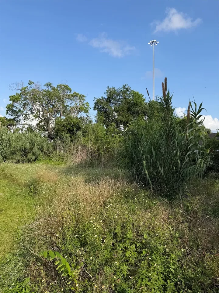Land for Sale in Houston, TX