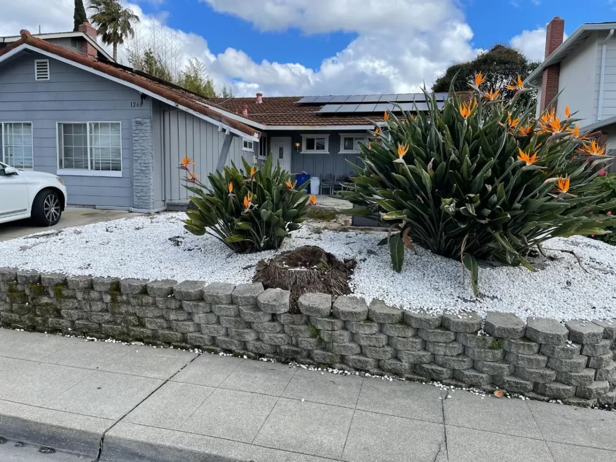 Multi-Family for Sale in Milpitas, CA