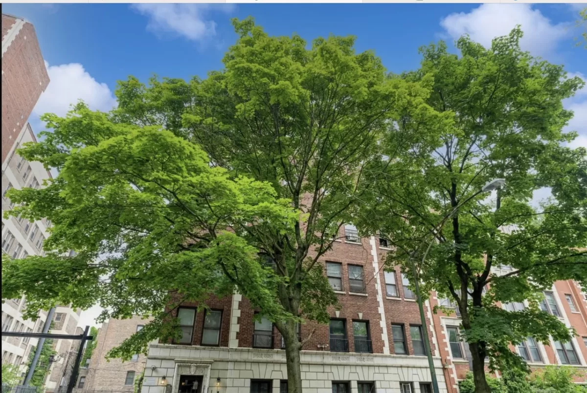 2BR Condo for Rent in Chicago, IL