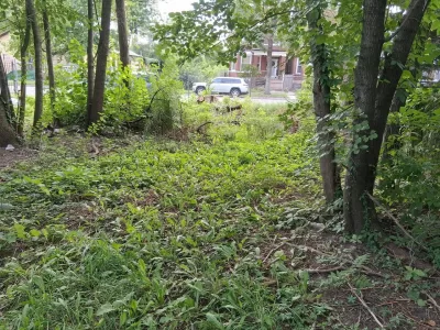 Land for Sale in Chicago, IL