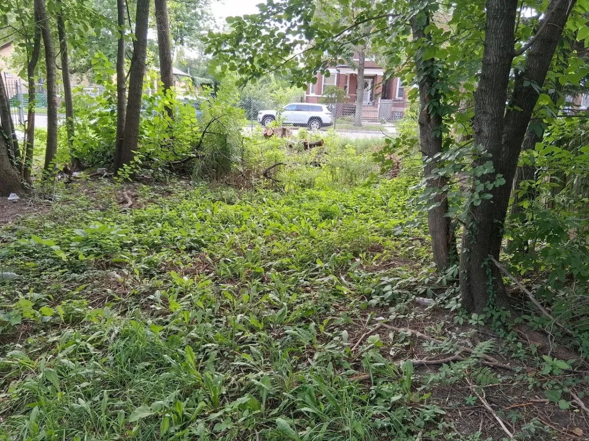 Land for Sale in Chicago, IL