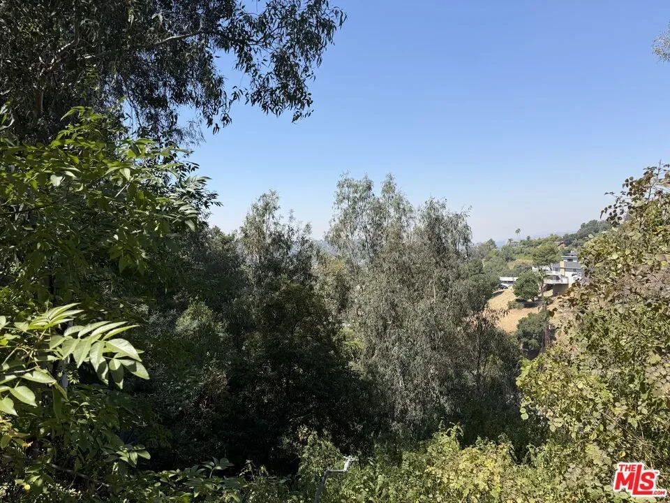 Land for Sale in Los Angeles, CA
