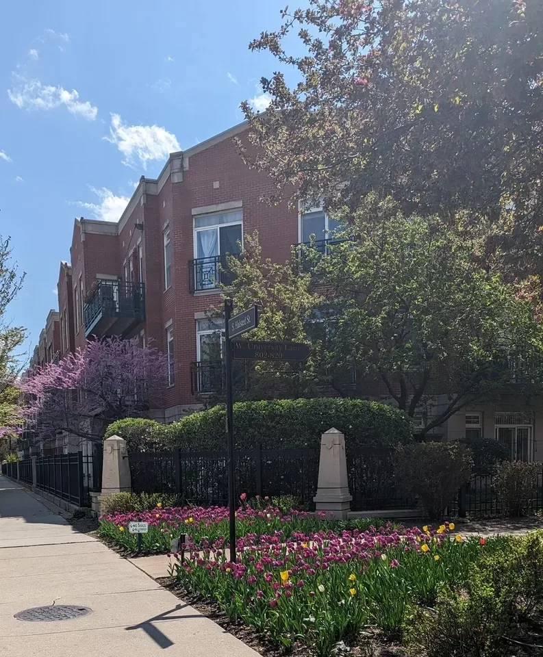 2BR Condo for Rent in Chicago, IL