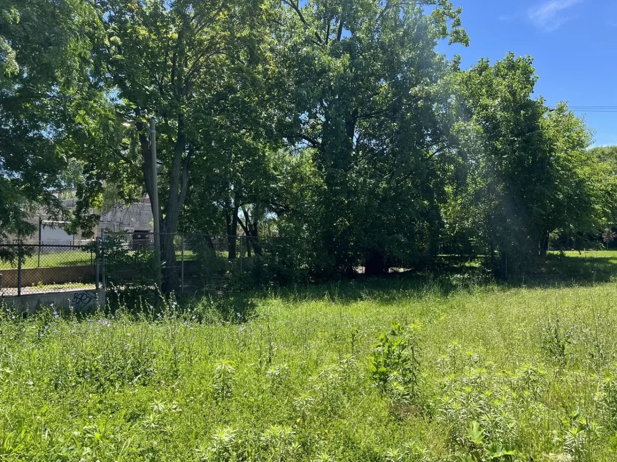 Land for Sale in Chicago, IL