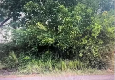 Land for Sale in Dallas, TX
