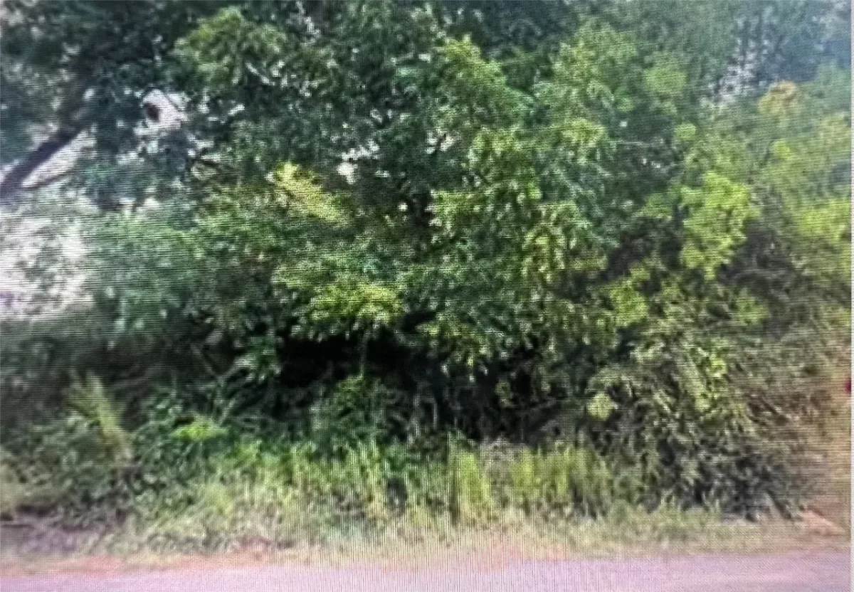 Land for Sale in Dallas, TX