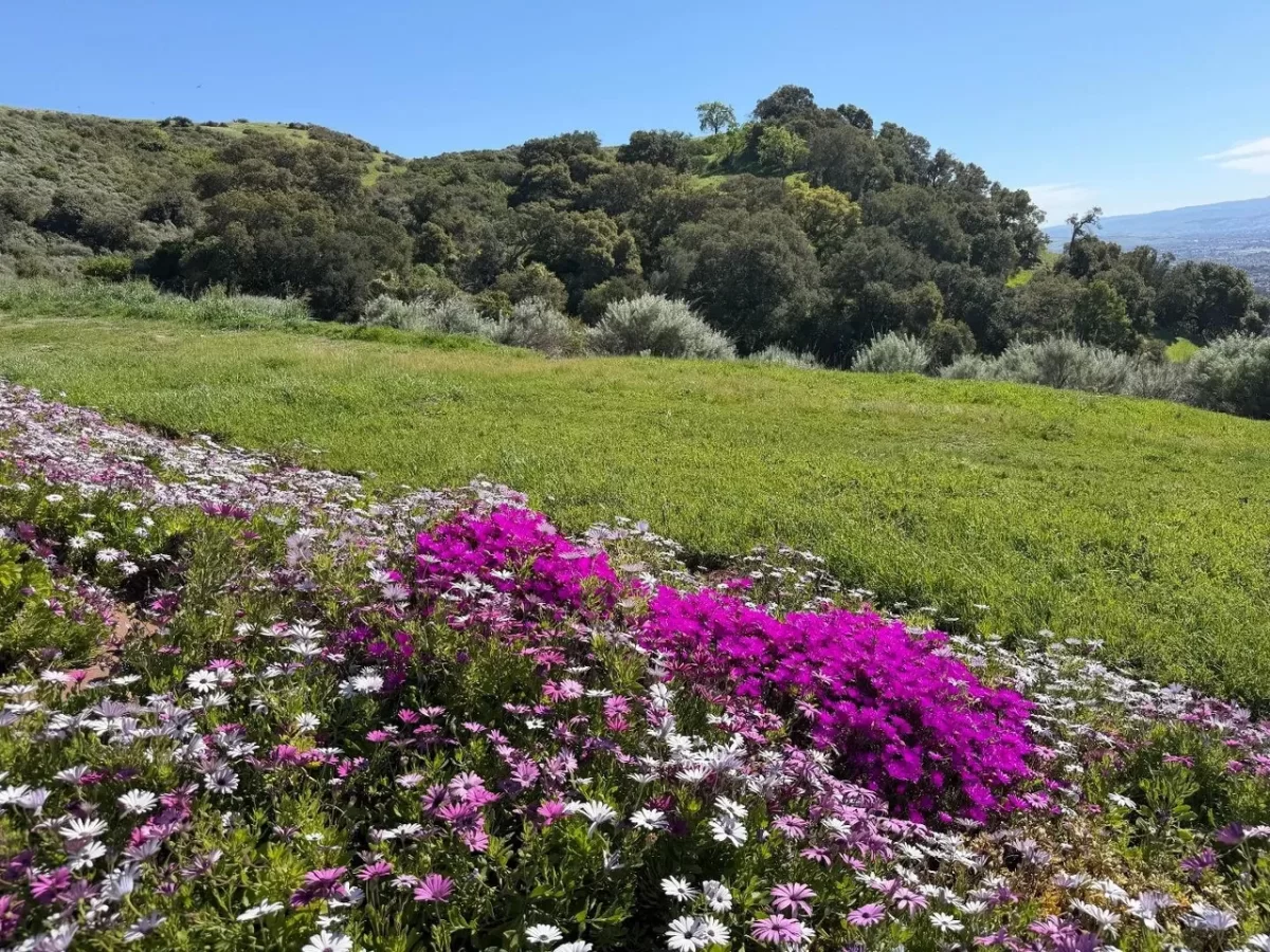 Land for Sale in San Jose, CA