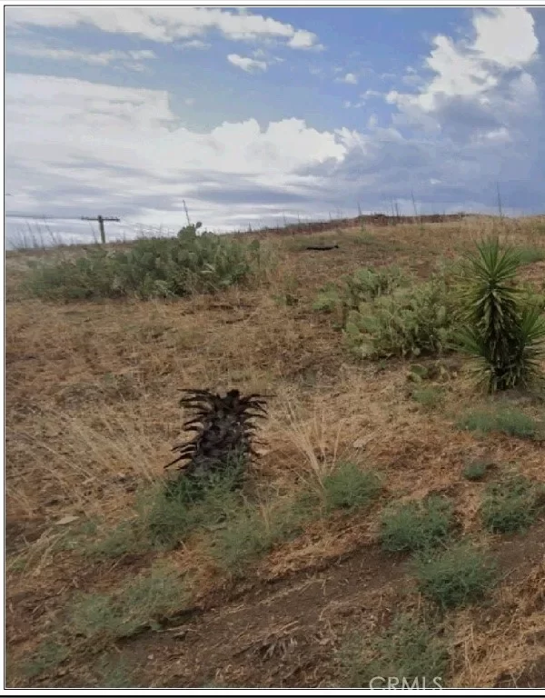 Land for Sale in Los Angeles, CA