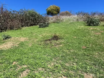 Land for Sale in Los Angeles, CA