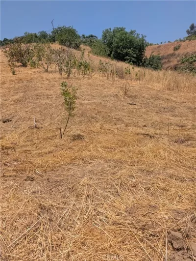 Land for Sale in Lincoln Heights, CA