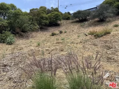 Land for Sale in Los Angeles, CA