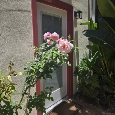 1BR Condo for Rent in Coronado, CA