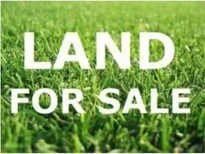 Land for Sale in Chicago, IL