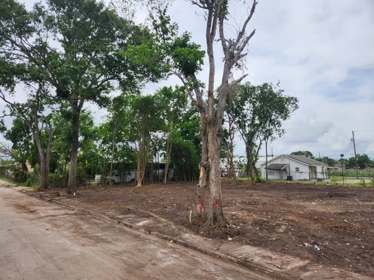 Land for Sale in Houston, TX