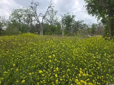 Land for Sale in San Antonio, TX