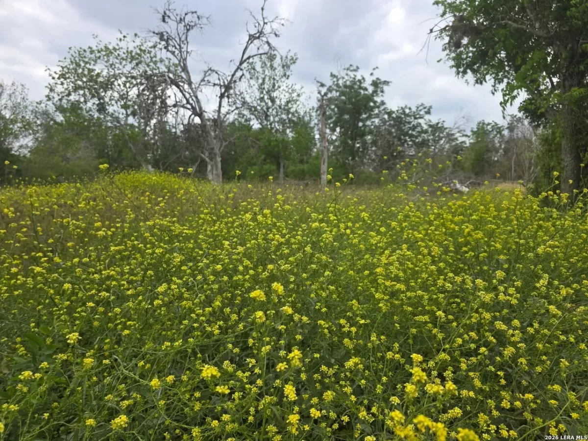 Land for Sale in San Antonio, TX