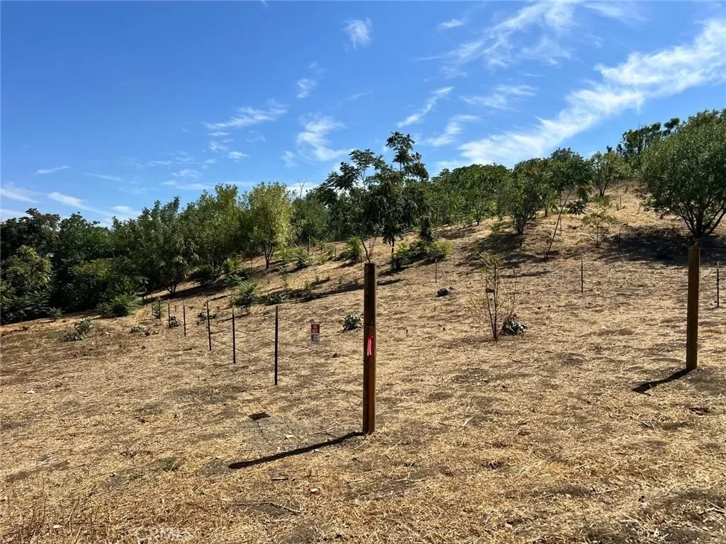 Land for Sale in Los Angeles, CA
