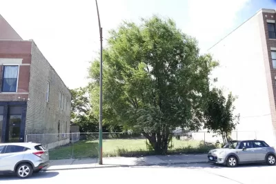 Land for Sale in Chicago, IL