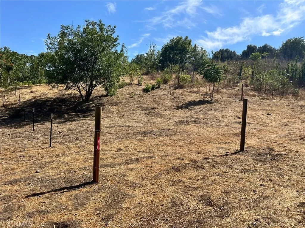 Land for Sale in Los Angeles, CA