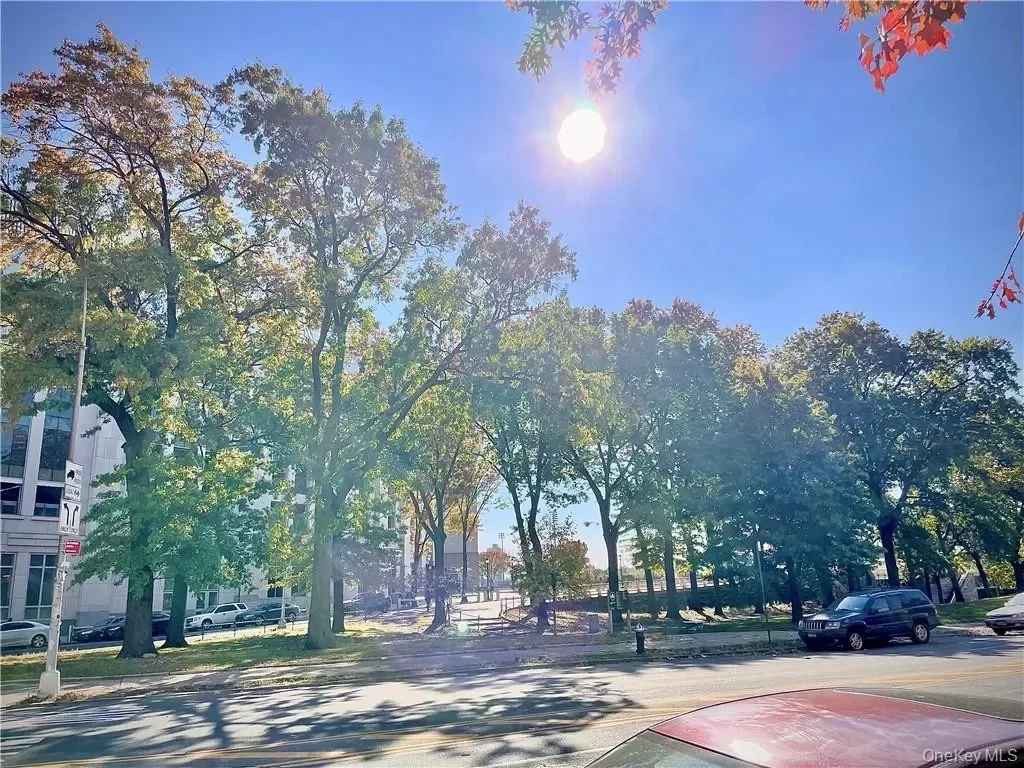1BR Condo for Sale in Bronx, NY