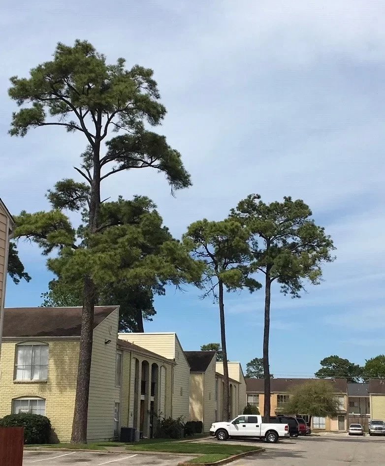 3BR Condo for Rent in Houston, TX