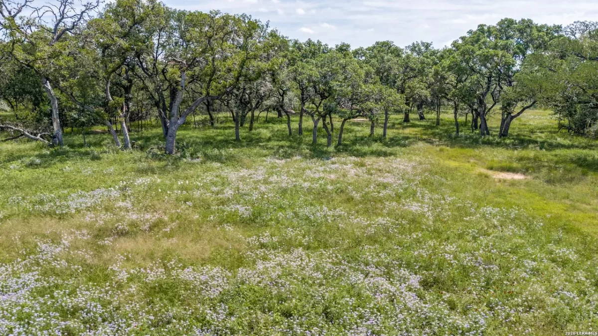 Land for Sale in San Antonio, TX