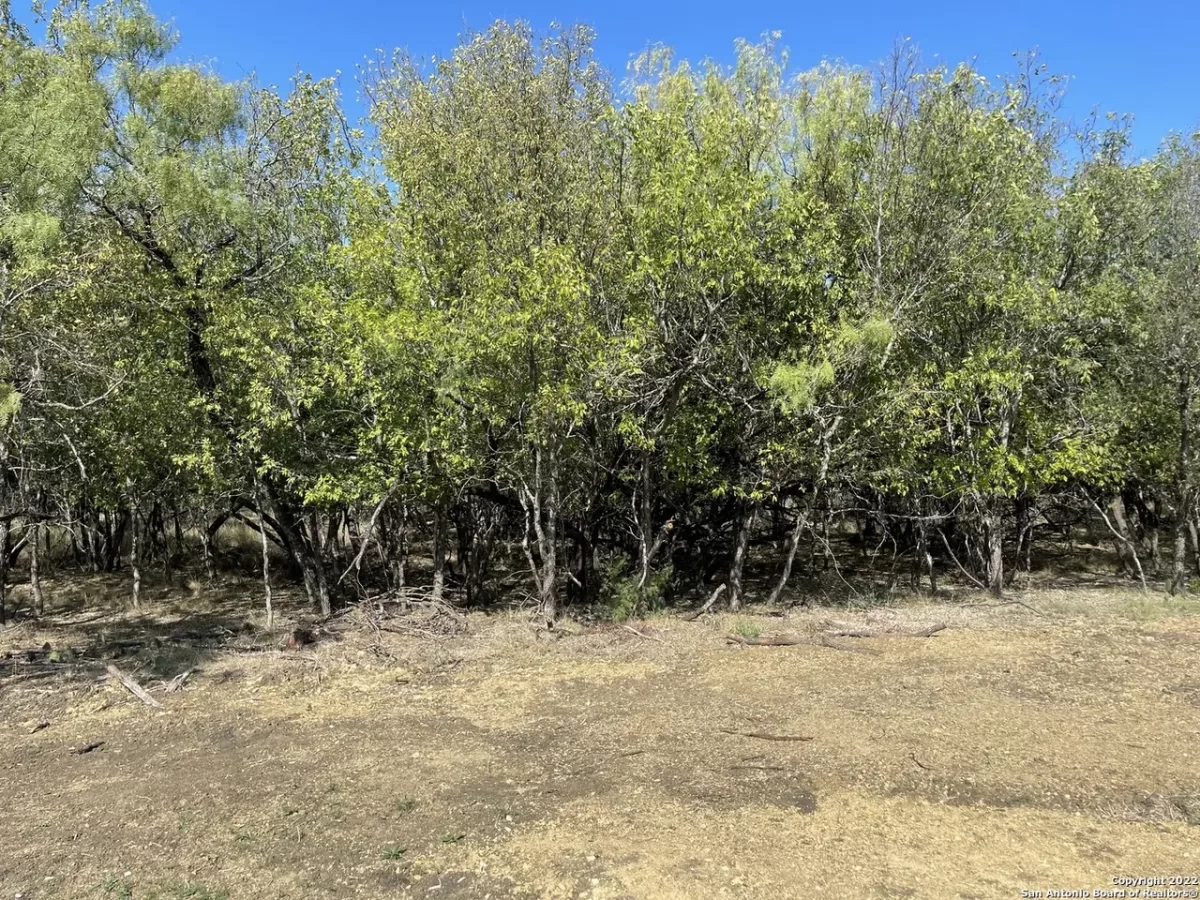 Land for Sale in San Antonio, TX