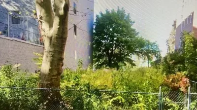 Land for Sale in Brooklyn, NY