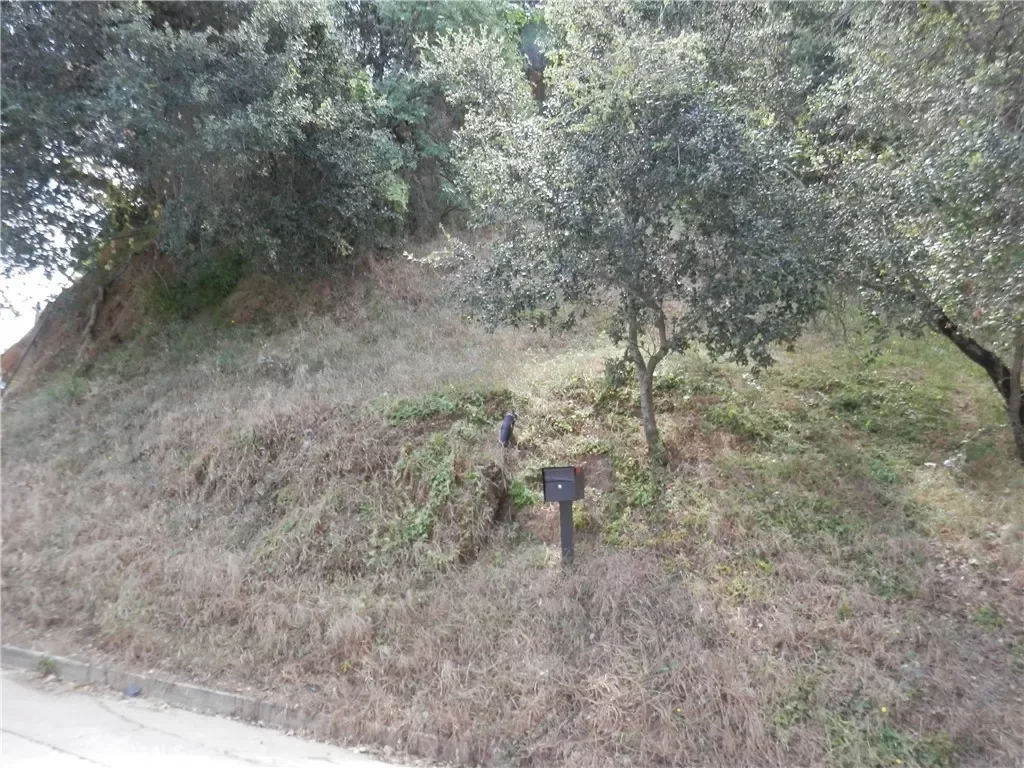 Land for Sale in Los Angeles, CA